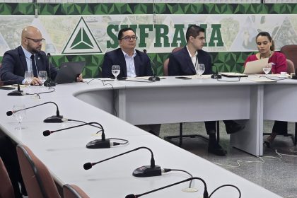 78ª Reunião Ordinária do Capda, por videoconferência