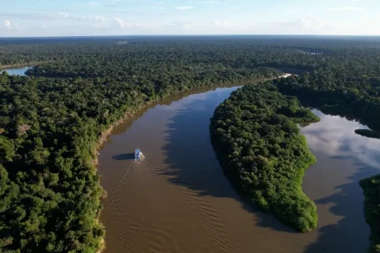 AMAZÔNIA