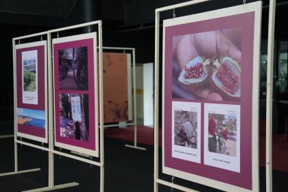 Cultura_Olhares_da_Amazonia (4)