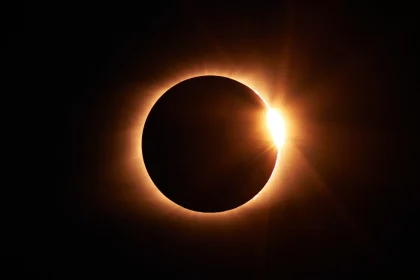 Foto: Divulgação/Unsplash