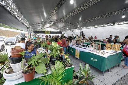 EXPOAGRO 2