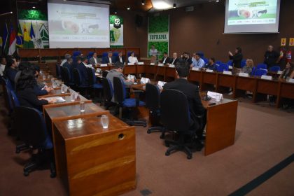 Encontro Programas Priortários