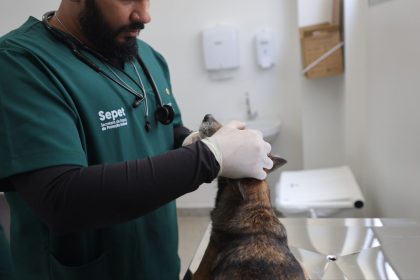 Hospital Veterinário_Foto_Mauro Neto_Secom 3
