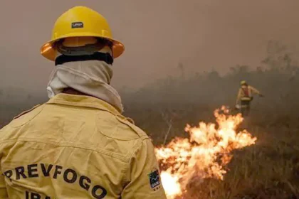 IBAMA INCÊNDIOS