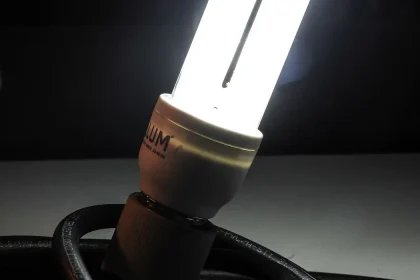 LUZ