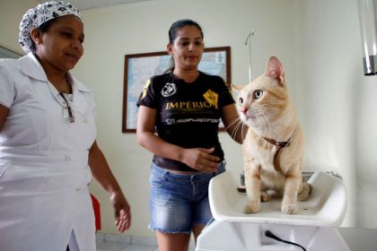 SEMSA MANAUS Agenda Castração 3º Trimestre (4)