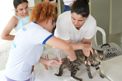 SEMSA MANAUS Atualização Pontos Antirrábica (2)