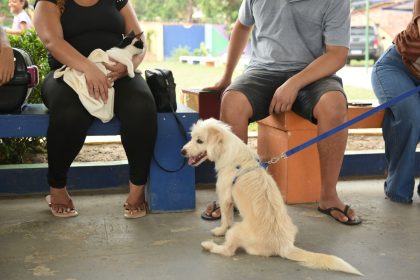 SEMSA MANAUS ORIENTAÇÕES VAC ANTIRRÁBICA 2