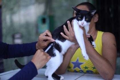 SEMSA MANAUS Pontos Fixos Antirrábica (5)