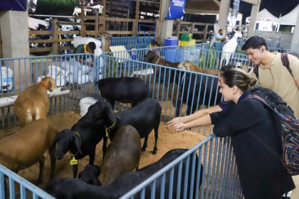 SEPROR_ABERTURA DA EXPOAGRO 2025_EXPOSIÇÃO DE ANIMAIS_FOTO ISAAC MAIA SEPROR