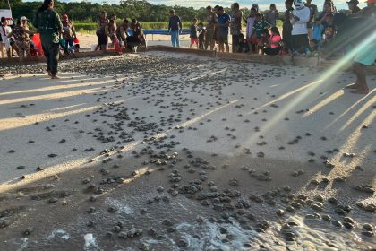 Sema Amazonas promove soltura de 380 mil quelônios no Médio Juruá (3)