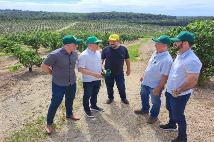 Suframa em fazenda de Rio Preto da Eva (3)