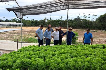 Visita à Hidorponia Lucas Coronel