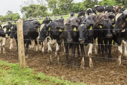 agropecuaria