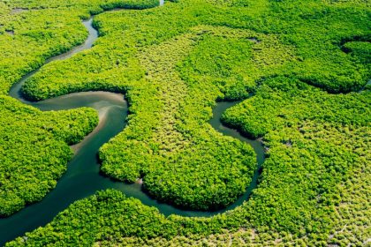amazonia