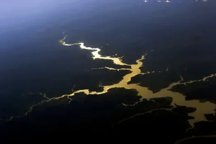 amazônia