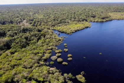 amazônia