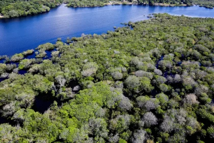 amazonia