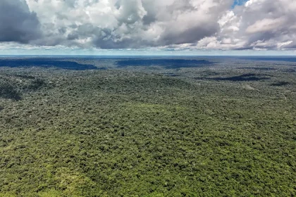 amazônia