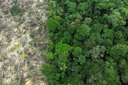 amazonia_desmatamento_1
