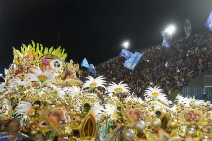 beija flor
