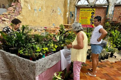 A Feira de Natal reúne todo tipo de produto, inclusive plantas, produtos regionais e artesanato (Foto: Divulgação)