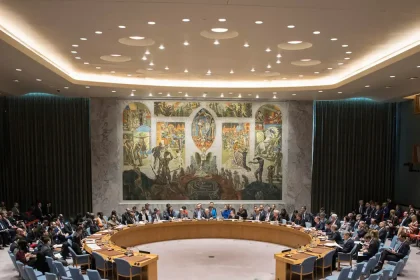 cons_seg_onu