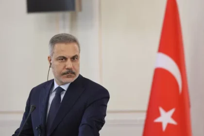 fidan turquia
