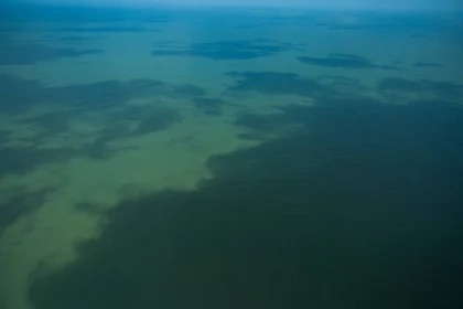 foz do amazonas