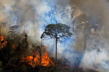 incendio foco amazoni