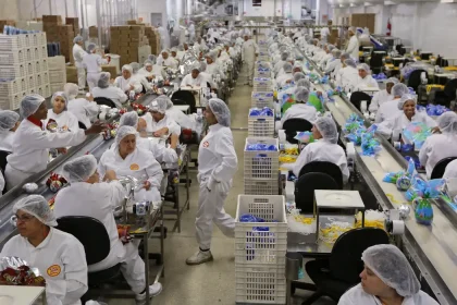 industria fevereiro