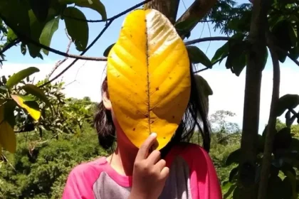 menina-em-regiao-da-amazonia-legal-do-brasil-regiao-e-a-que-tem-maior-taxa-de-violencia-sexual-contra-criancas-e-adolescentes-1754856297124_v2_900x506.jpg