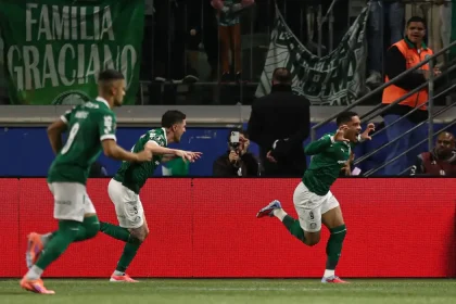 palmeiras