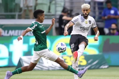 palmeiras