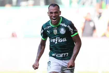 palmeiras