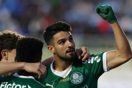 palmeiras