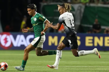 palmeiras
