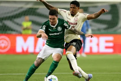 palmeiras