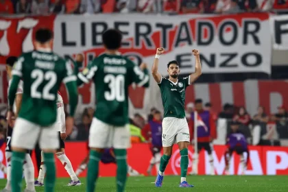 palmeiras