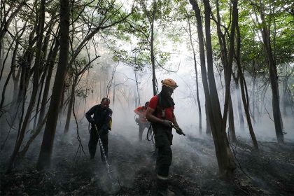 queimadas amazonas