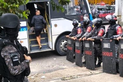 transferência