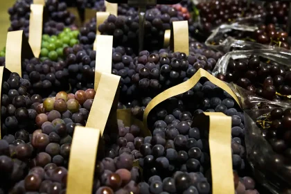 uva_frutas_supermercado_exportacao_de_frutas_abr_20220729_0904